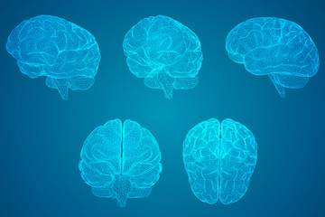 乒乓球拍（横拍）反手长胶的打法