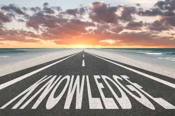 张怡宁和邓亚萍谁更厉害？