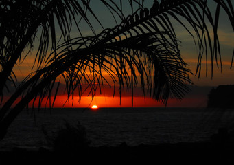 历届女单冠军一览表