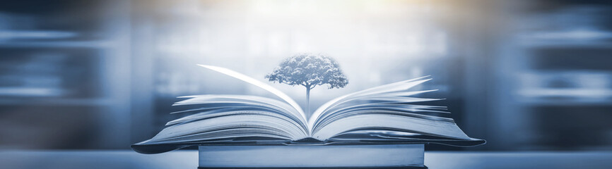 深圳乒乓球私教班机构