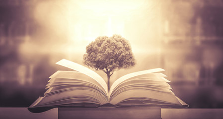 乒乓球拍（横拍）反手长胶的打法