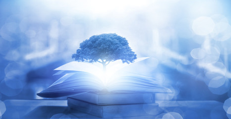 乒乓球发球技巧