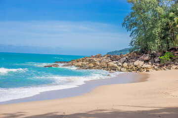 张怡宁和邓亚萍谁更厉害？