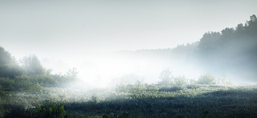 乒乓球的规则是什么？