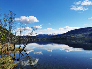 乒乓球国家队的陪练都是什么水平？