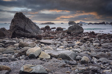 乒乓球国家队的陪练都是什么水平？