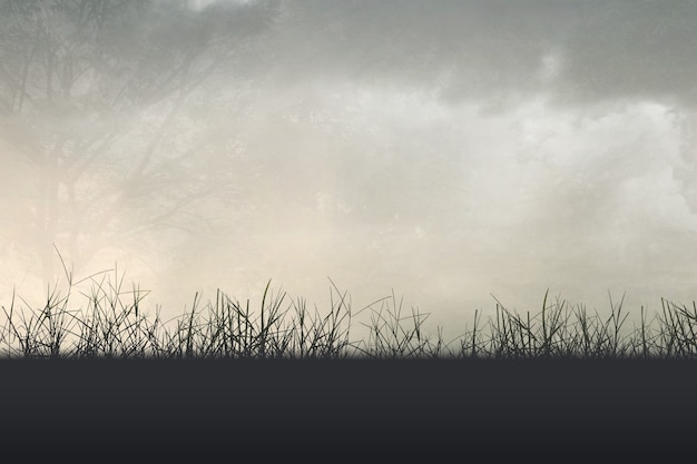 历届女单冠军一览表