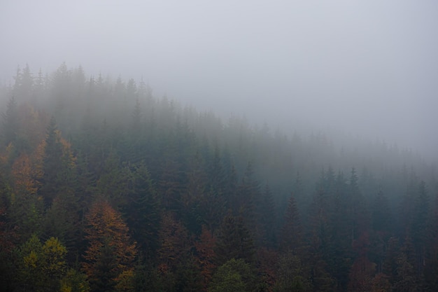 乒乓球拍（横拍）反手长胶的打法