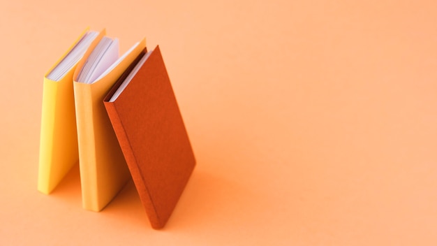 历届女单冠军一览表