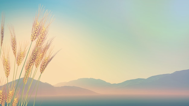 形容乒乓球运动员风采的词语