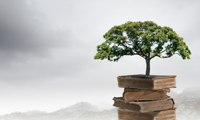 乒乓球的规则是什么？