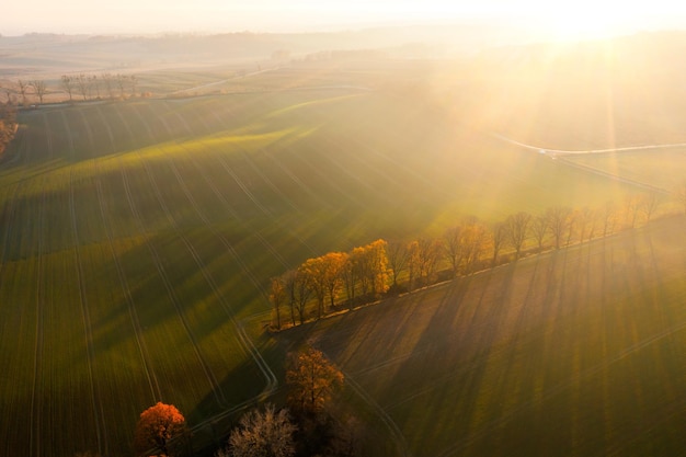 张怡宁和邓亚萍谁更厉害？