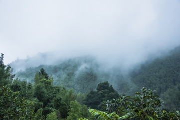 历届女单冠军一览表